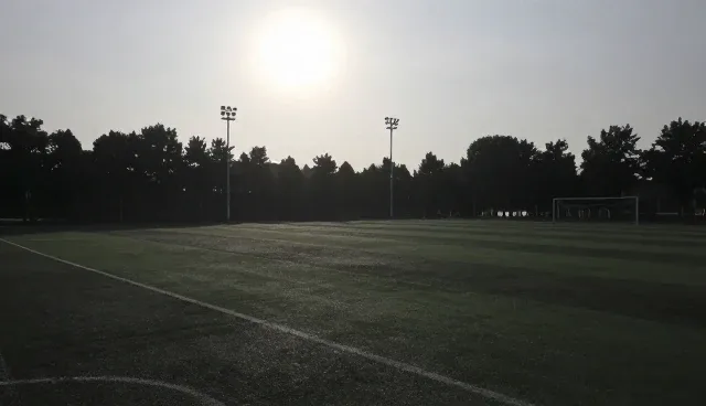 用户互动：账号代运营选型关注点分析